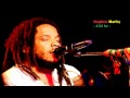 Stephen Marley (ft. Damian "Jr. Gong" Marley) - The Traffic Jam - A=432hz
