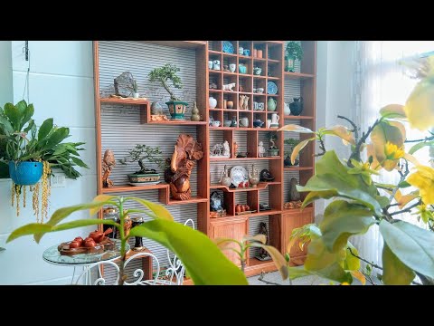 TỦ GỖ TRANG TRÍ SIÊU TO SIÊU ĐẸP I TRANG TRÍ TƯỜNG ĐẸP I GIÁNG THU