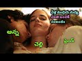 అన్న చెల్లి ఒక ఫ్రెండ్ | the dreamers holywood movies explained in telugu | movie playtime telugu
