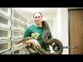 Snake Bytes TV - "Nice Melons"