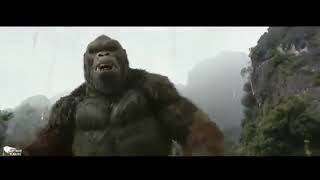 ben fero biladerim için şarkılı Kong Kong vs skulcruwler