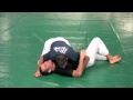 Royce Gracie vs. Jason DeLucia - 1991 (Bonus Gracie Breakdown Sample from GracieUniversity.com)