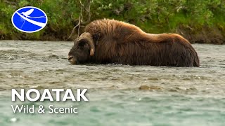 Noatak - Wild & Scenic