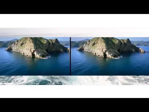 Ya Omri Video