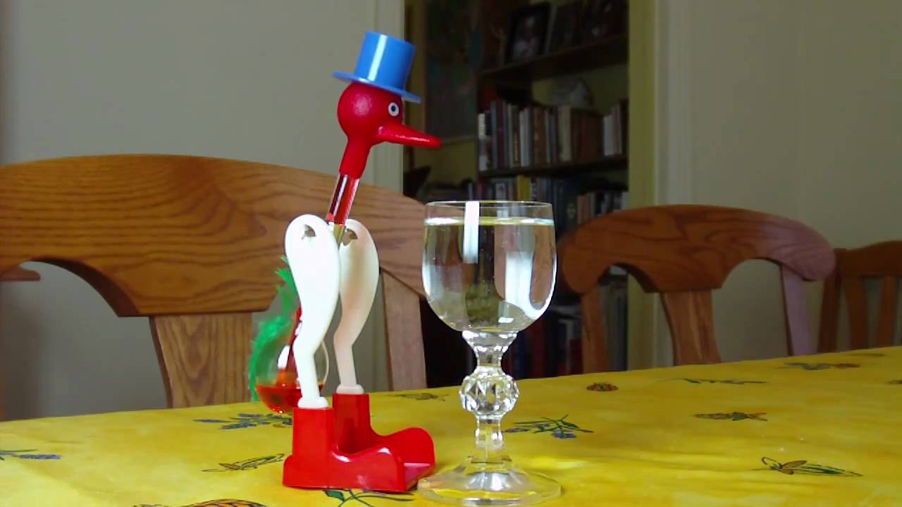 Bobbing_bird - YouTube