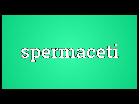 Header of spermaceti