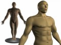 3d human anatomy - youtube
