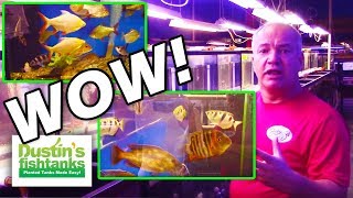 Best Aquarium Shop in Ohio, Gerber's Tropical Fish Store, Part One Freshwater