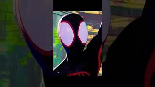 Spider-Man X Dear Choppa