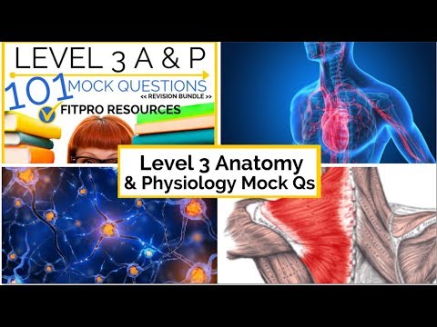 Level 3 Anatomy and Physiology Mock Questions