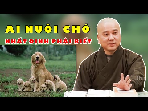 AI NUÔI CHÓ - THÚ CƯNG Nhất Định Phải Biết Điều Này | Thầy Thích Pháp Hoà