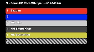 2019 07 07 Lopp 09 Borås GP Race Whippet