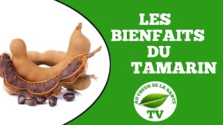Les Bienfaits Du Tamarin