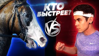 Кто Быстрей Человек Или Лошадь? — Топлес