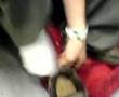 En el tren