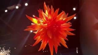 The Coolest Museum IN Seattle Chihuly Garden And Glass Short Vlog