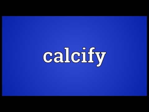 Header of calcify