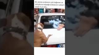 Sahibinden Tofaş