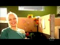 Day Job-Sunshine State