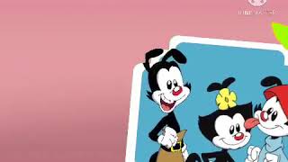 Disney Channel Intermission Bumper Animaniacs Totally Real And Rare