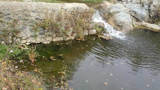 Buçalla E Askerisë - Sllupçan