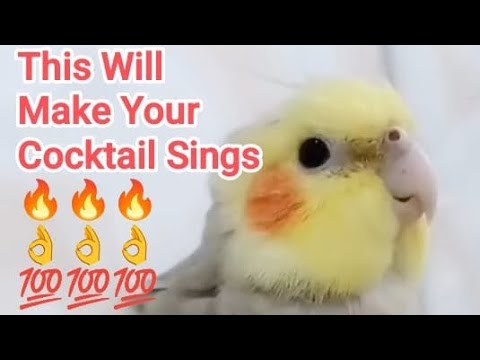 This Will Make Your Cocktail Sings 🔥👌💯🔥👌💯🔥👌💯 This Will Make Your Cocktail Sings 🔥👌💯🔥👌💯🔥👌💯