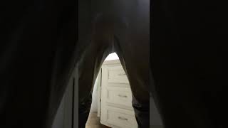 Fart In Leather Pants 2