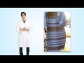 Brane Games: What Color is the Dress?