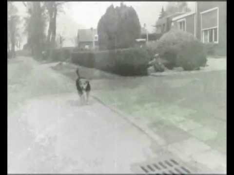How Far We All Come Away Video