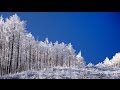 霧氷の聖高原と北アルプス・4K撮影
