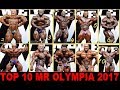 mr olympia 2017 resultado final top 10