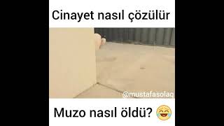 Tavuk Nasıl Hayata Döndürülür 2 Antep Dublaj