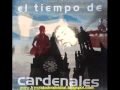 CARDENALES - MIENTRAS DUERMES