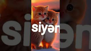 ۲۳ فوریه ۲۰۲۴