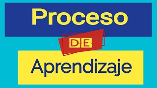 Proceso De Aprendizaje. Sara Pain