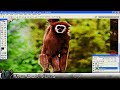 3d photo contest