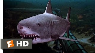 Jaws 3-D (9/9) Movie CLIP - The Exploding Shark (1983) HD