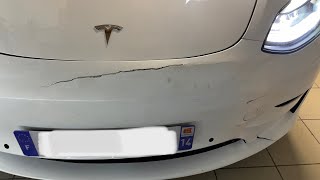 Tesla Model 3 Performance 2022 Vs Sanglier Wild Boar