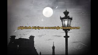 Tamino - Raven Türkçe Çeviri