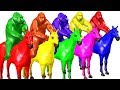 Gorilla Riding 3d Horse Colors Videos For Children Kids Toddlers | Colorful 3d Horses Colors Rhymes