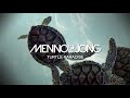 Video Menno de Jong - Turtle Paradise