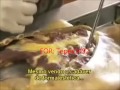 AUTOPSIA
