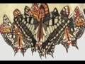 John Jones Patchwork Artist - Applique Butterfly Coat Animation