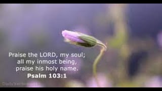 Red Bird Online Worship 8 21 2022
