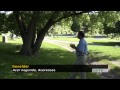 Trees with Don Leopold - boxelder
