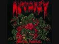 autopsy-fleshcrawl/torn from the womb