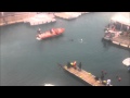 CANE SALVA UOMO IN MARE - DOG SAVES MAN FROM SEA