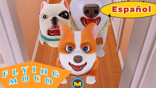 Flying Moco Temporada 2 Episodios 10-20