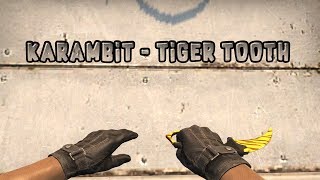 Karambit Tiger Tooth - Stattrak - Factory New