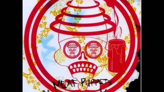 Watch Meat Puppets Radio Moth video